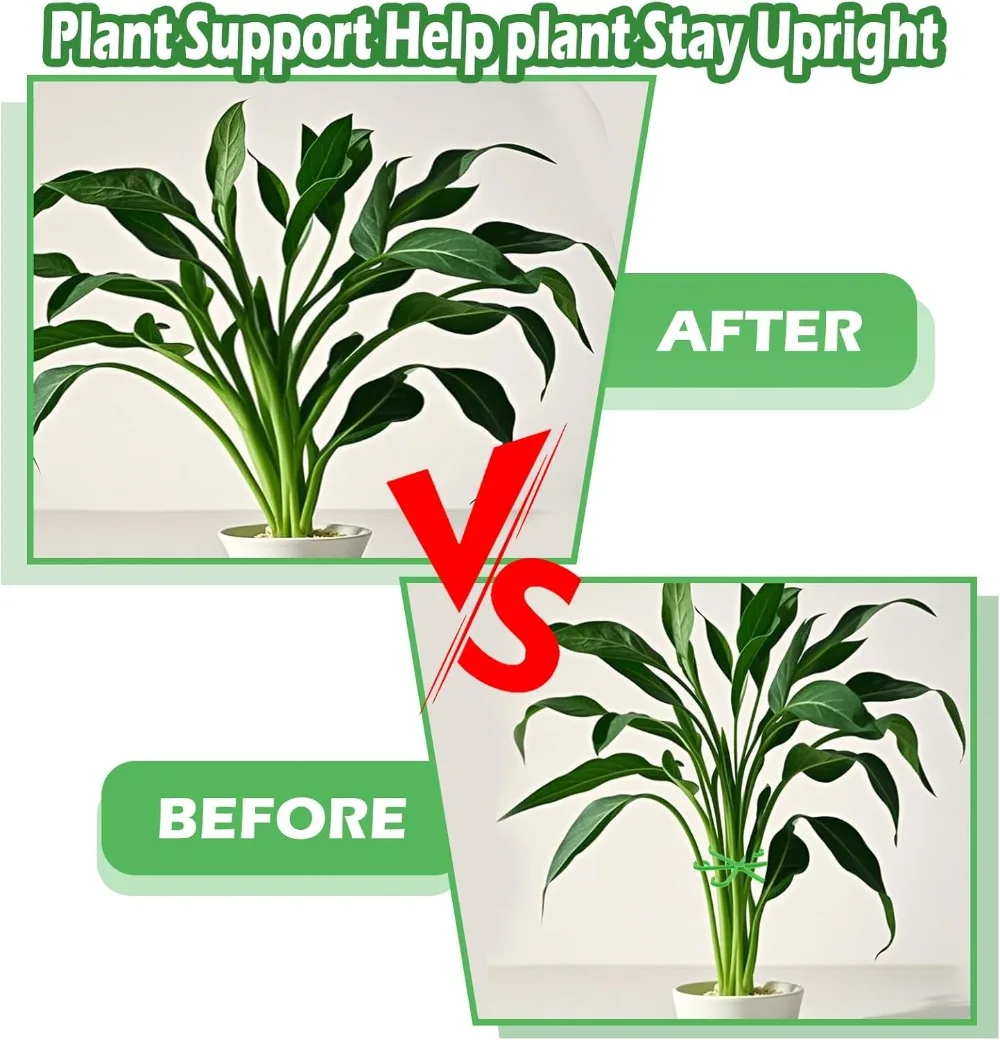 Flower Plant Stem Support Stak - Supply For Florist 评论和价格