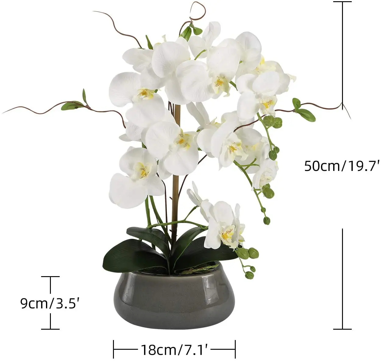 Artificial Orchid Flowers Cent - Florist Supply Vases 评论和价格