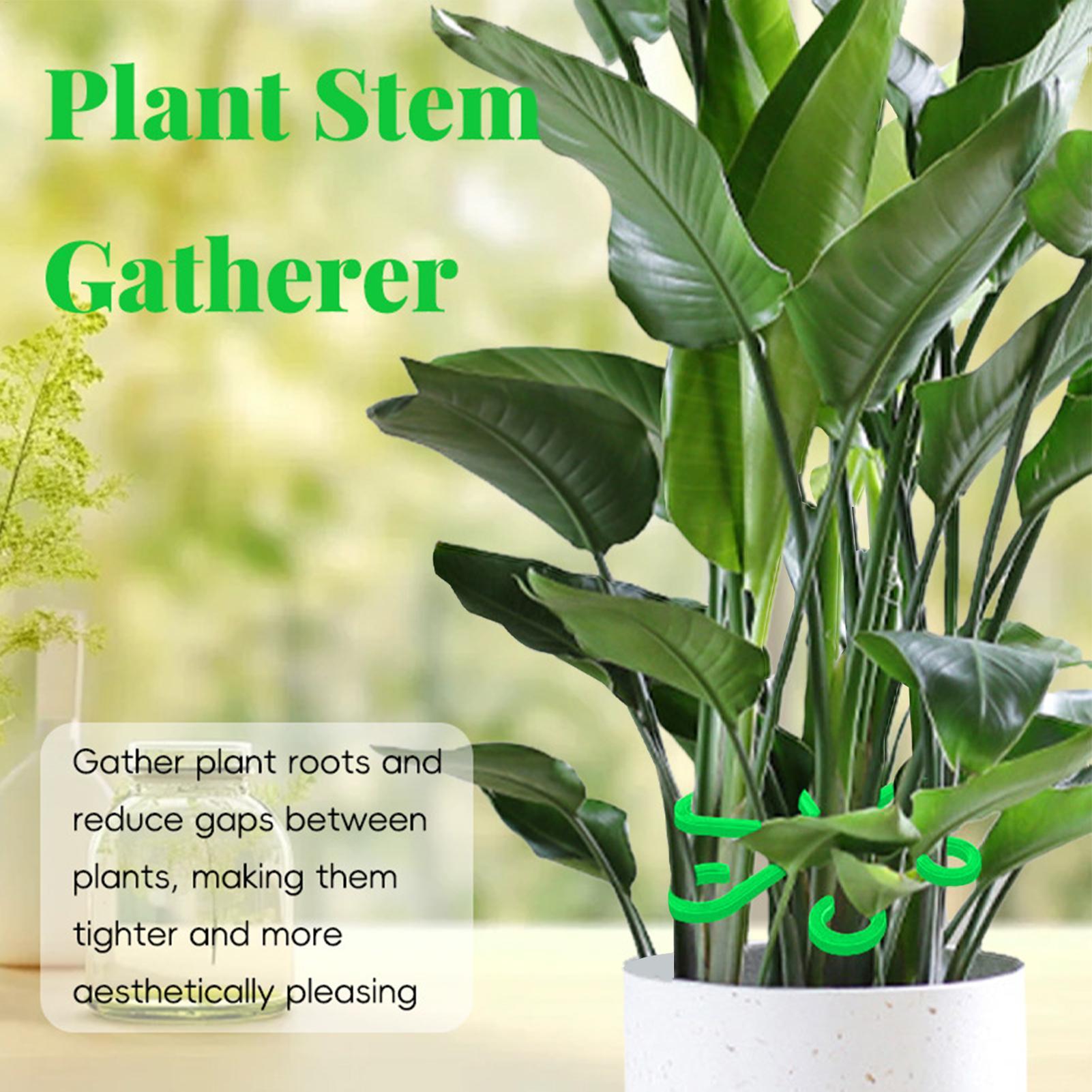 4pc Plant Fixing Clip Plant Cl - Supply For Florist 评论和价格
