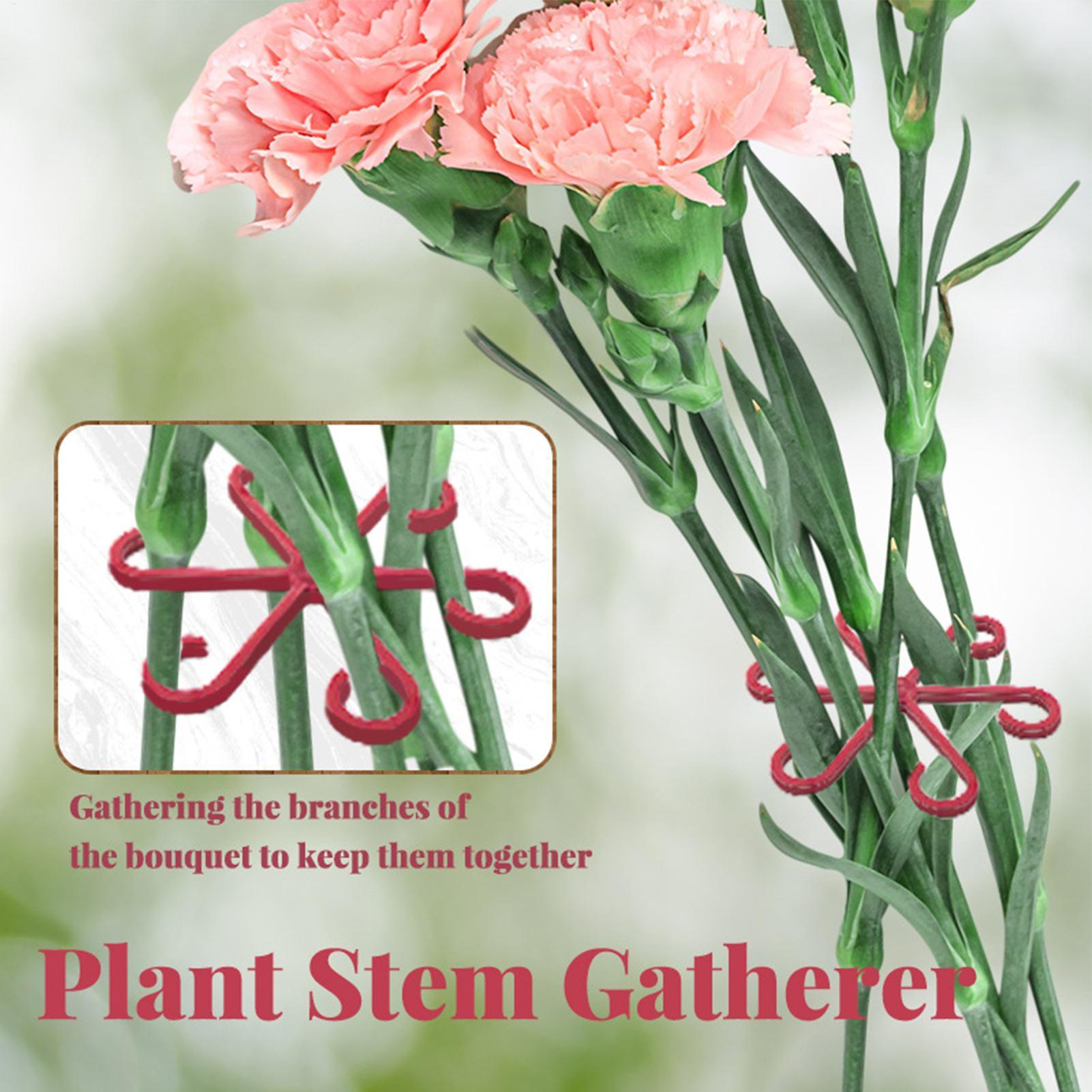 4pc Plant Fixing Clip Plant Cl - Supply For Florist 评论和价格