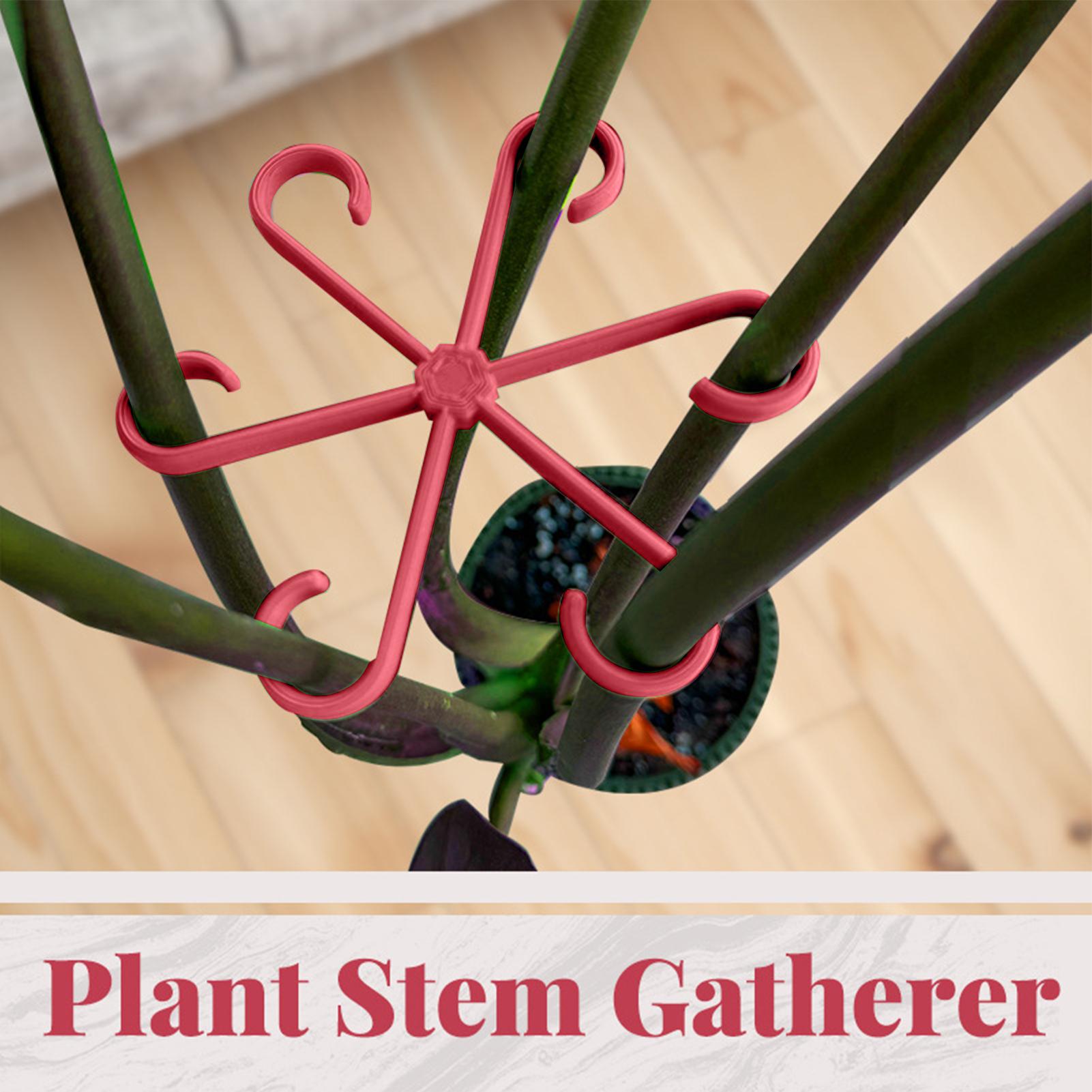 4pc Plant Fixing Clip Plant Cl - Supply For Florist 评论和价格