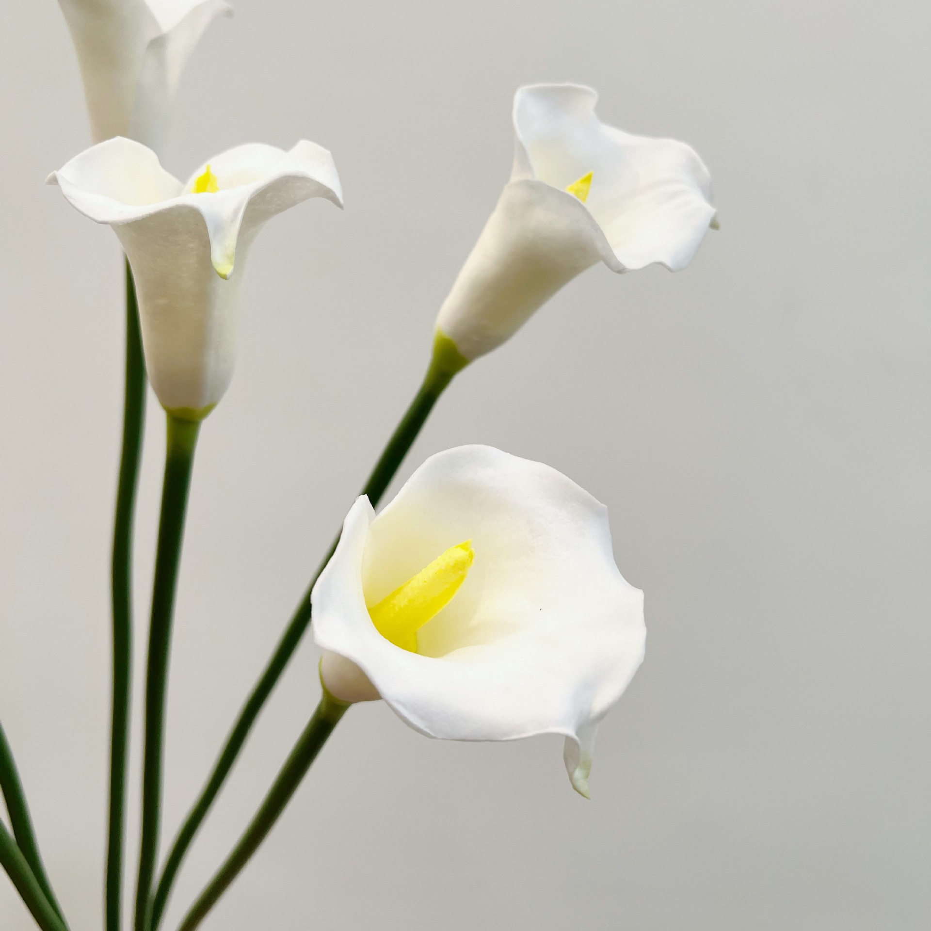 26 Inch Single Stem Crescent C - Supply For Florist 评论和价格