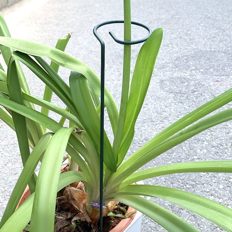 1-10pcs Metal Single Stem Plan - Supply For Florist 评论和价格